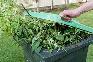 Green waste collection | Garden Waste | CDDL Recycling