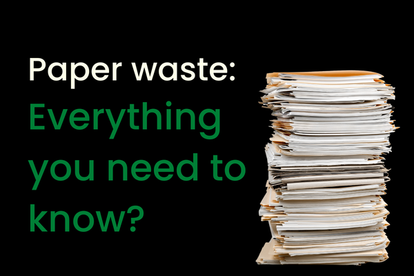 Paper Waste: Everything you need to know
