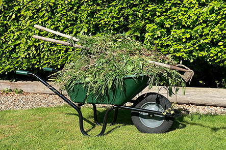 Green waste collection in Kent | CDDL Recycling
