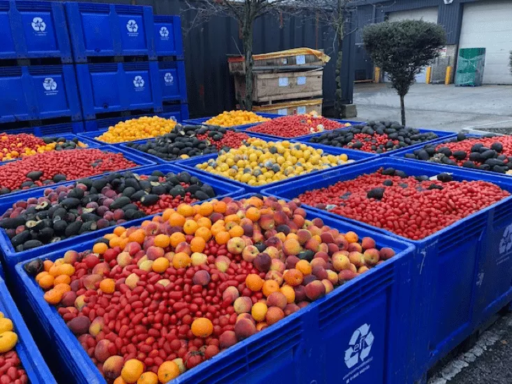 Food Waste Collection | CDDL Recycling