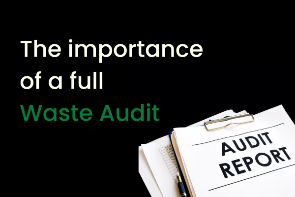 The importance of a full waste audit | CDDL Recycling
